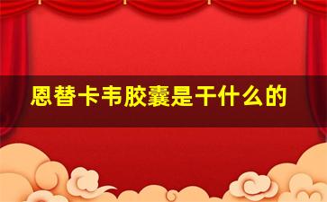 恩替卡韦胶囊是干什么的