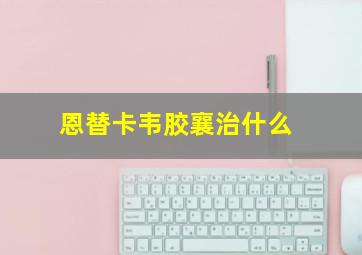 恩替卡韦胶襄治什么