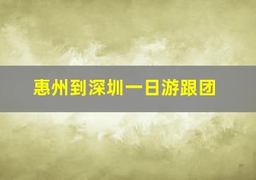 惠州到深圳一日游跟团