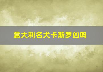 意大利名犬卡斯罗凶吗