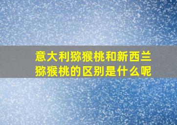 意大利猕猴桃和新西兰猕猴桃的区别是什么呢