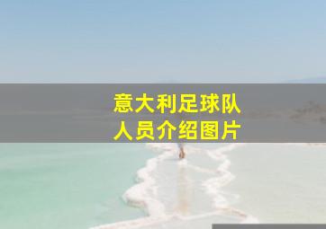 意大利足球队人员介绍图片