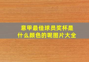 意甲最佳球员奖杯是什么颜色的呢图片大全