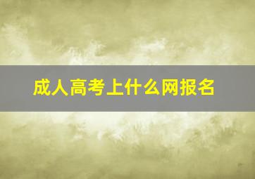 成人高考上什么网报名