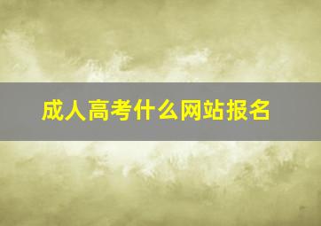 成人高考什么网站报名