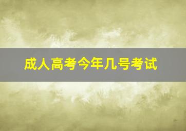 成人高考今年几号考试