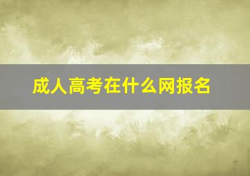 成人高考在什么网报名