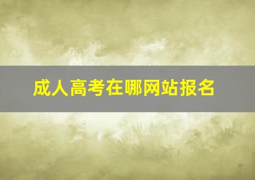 成人高考在哪网站报名