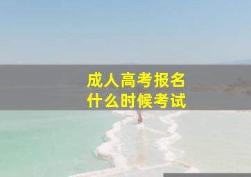 成人高考报名什么时候考试