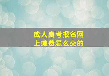 成人高考报名网上缴费怎么交的