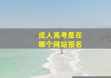 成人高考是在哪个网站报名