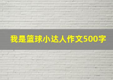 我是篮球小达人作文500字