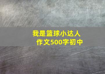 我是篮球小达人作文500字初中