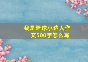 我是篮球小达人作文500字怎么写