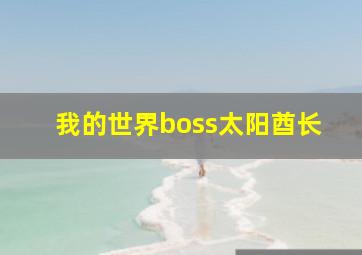 我的世界boss太阳酋长