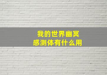 我的世界幽冥感测体有什么用