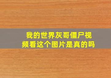 我的世界灰哥僵尸视频看这个图片是真的吗