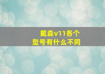 戴森v11各个型号有什么不同