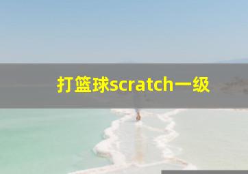 打篮球scratch一级