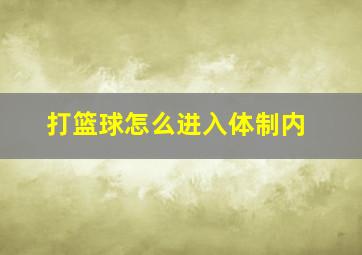 打篮球怎么进入体制内