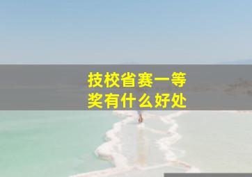 技校省赛一等奖有什么好处