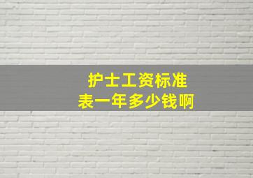 护士工资标准表一年多少钱啊