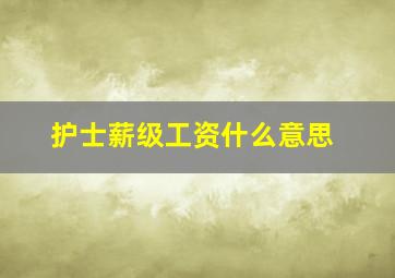 护士薪级工资什么意思