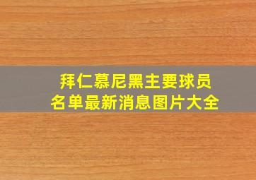 拜仁慕尼黑主要球员名单最新消息图片大全