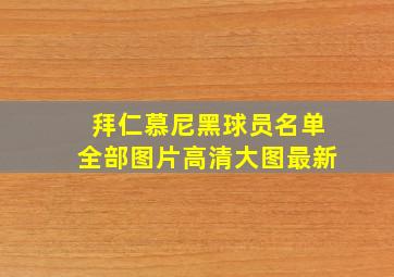 拜仁慕尼黑球员名单全部图片高清大图最新