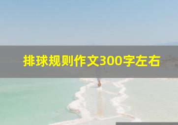 排球规则作文300字左右