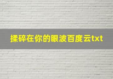 揉碎在你的眼波百度云txt