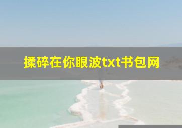 揉碎在你眼波txt书包网