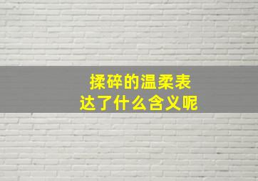 揉碎的温柔表达了什么含义呢