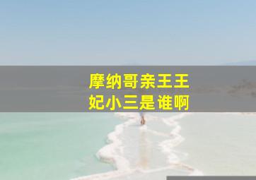 摩纳哥亲王王妃小三是谁啊