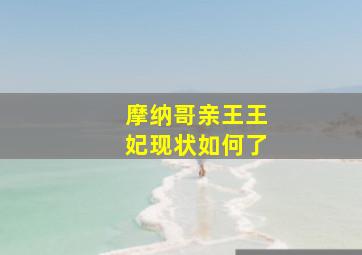 摩纳哥亲王王妃现状如何了