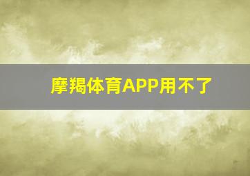 摩羯体育APP用不了