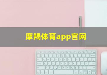 摩羯体育app官网