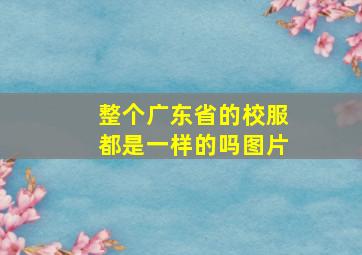 整个广东省的校服都是一样的吗图片