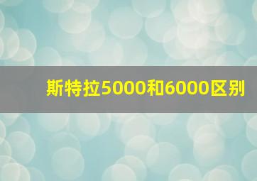 斯特拉5000和6000区别