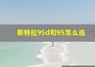 斯特拉95d和95怎么选