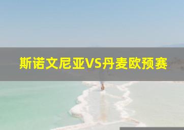 斯诺文尼亚VS丹麦欧预赛