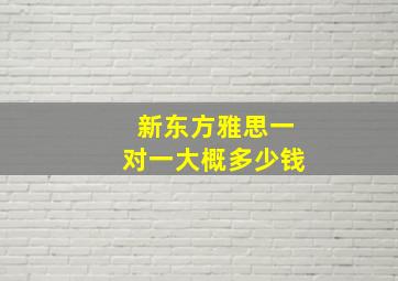 新东方雅思一对一大概多少钱