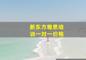 新东方雅思培训一对一价格