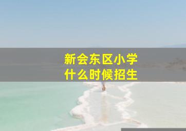 新会东区小学什么时候招生