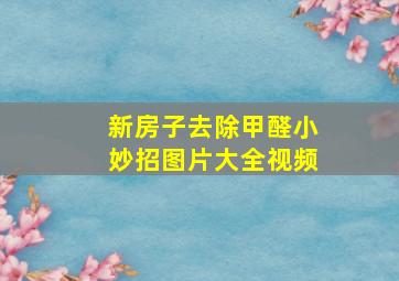 新房子去除甲醛小妙招图片大全视频