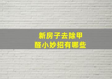 新房子去除甲醛小妙招有哪些