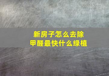 新房子怎么去除甲醛最快什么绿植