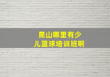 昆山哪里有少儿篮球培训班啊