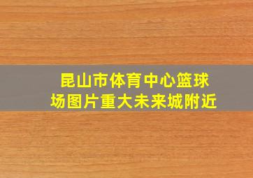 昆山市体育中心篮球场图片重大未来城附近