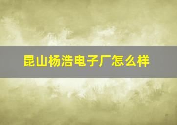 昆山杨浩电子厂怎么样